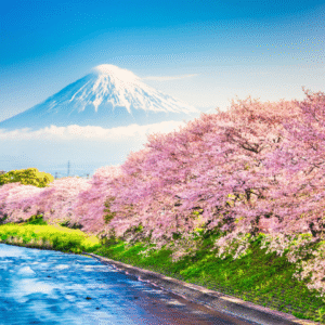 TOKYO MT. FUJI YOKOHAMA 5D4N TOUR 720×480