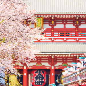 MEMORABLE JAPAN (TOKYO ALONE) (1) 720×480 png