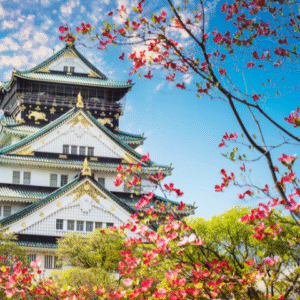 MEMORABLE JAPAN (TOKYO+OSAKA) 720X480 (5)