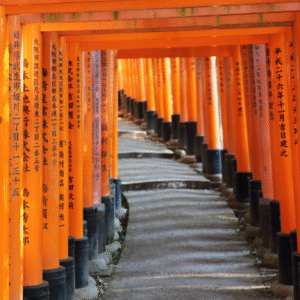 OSAKA-KYOTO-NARA 5D4N TOUR 720×480 (4)